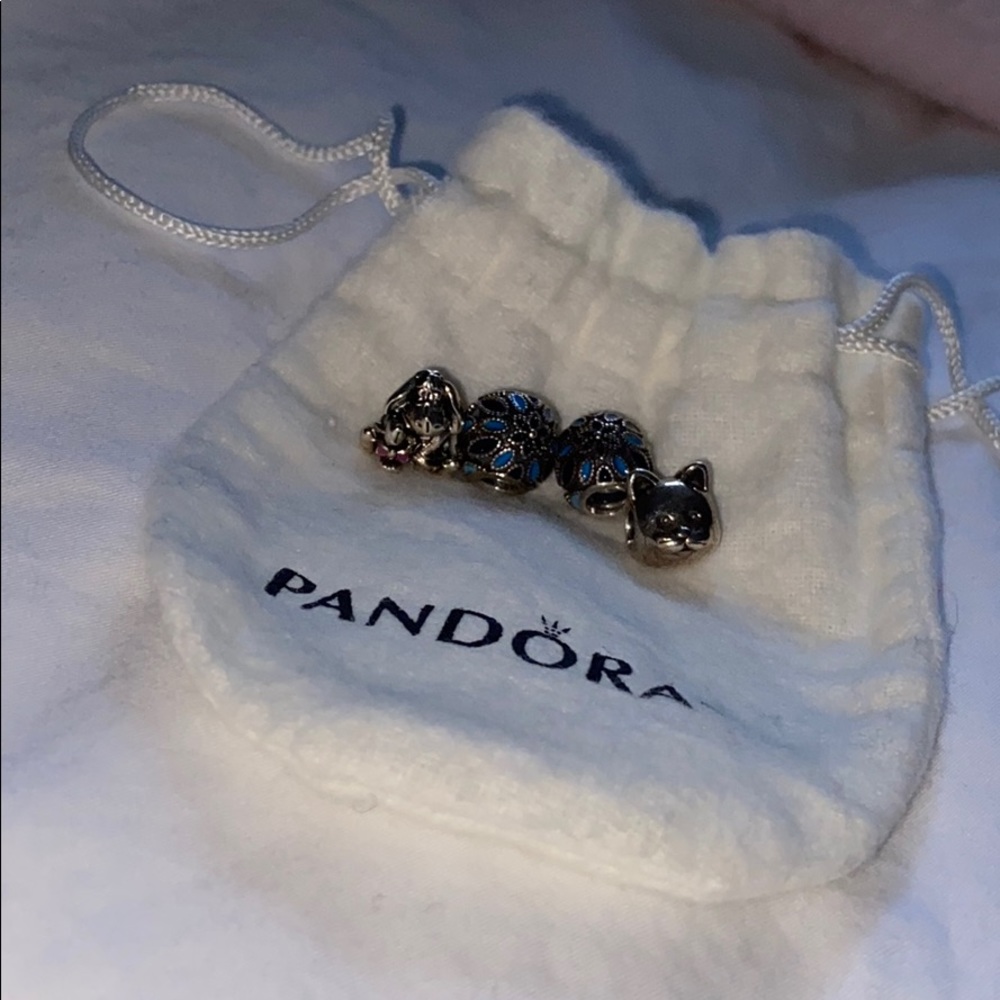 Random pack charms (4)